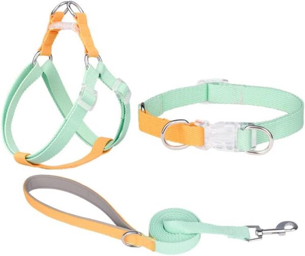 AIITLE Step in Dog Harness Collar Leash Set - Adjustable Lightweight No Pull Dog Halter Harness - Comfortable Padded Handle - for Medium Breed Dogs Outdoor Running Green-Yellow M - Image 2